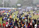 Numaligarh Marathon Day